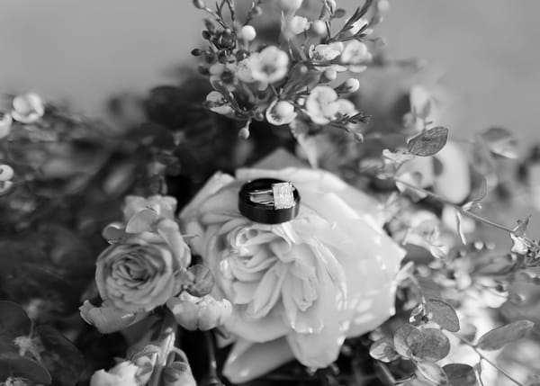 Ashlyn & Easton — ashlyn & easton, photo 444
