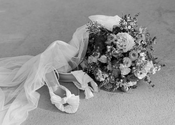 Ashlyn & Easton — ashlyn & easton, photo 438