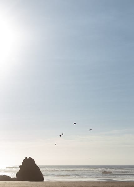 Liz & Duke — liz & duke, photo 111