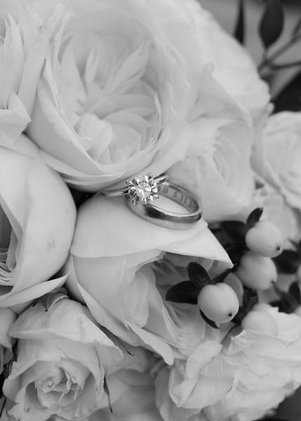 Kate & Brigham — kate & brigham, photo 316