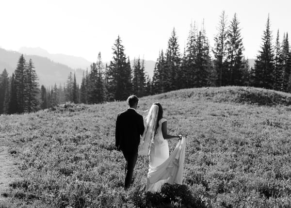 Brooklyn & Will — brooklyn & will, photo 25