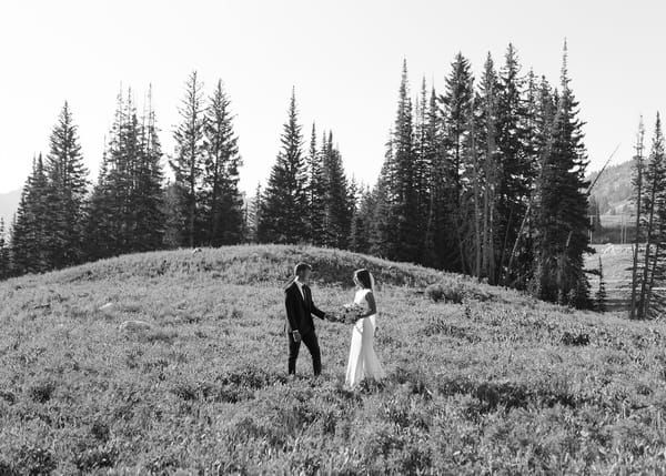 Brooklyn & Will — brooklyn & will, photo 35