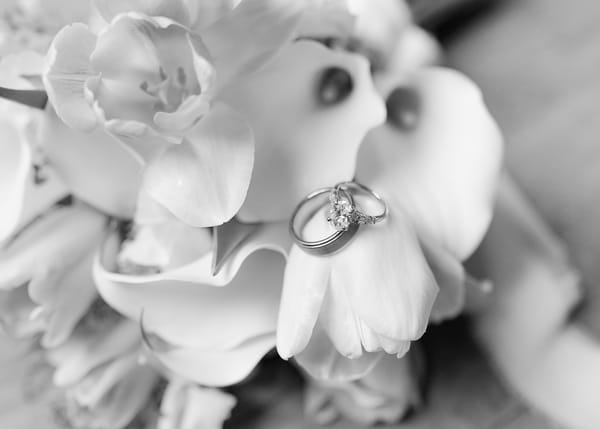 Natalee & Grant — natalee & grant, photo 617