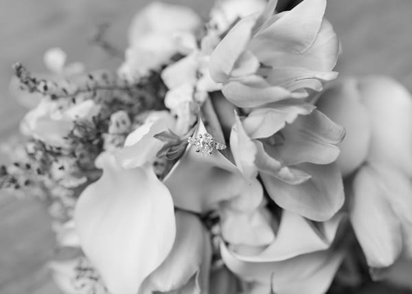 Natalee & Grant — natalee & grant, photo 621