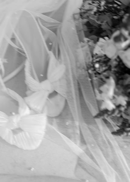 Ashlyn & Easton — ashlyn & easton, photo 432