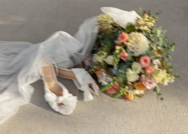 Ashlyn & Easton — ashlyn & easton, photo 440