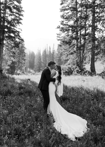 Brooklyn & Will — brooklyn & will, photo 42