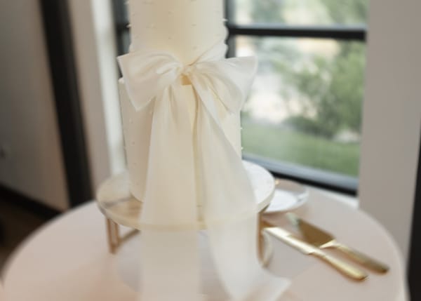 Ashlyn & Easton — ashlyn & easton, photo 399