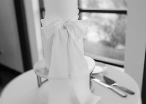 Ashlyn & Easton — ashlyn & easton, photo 398